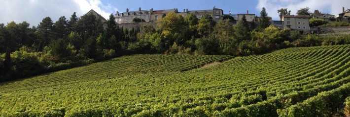 Belles rencontres en Centre Loire