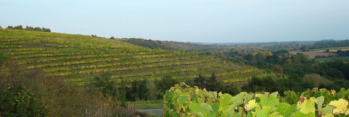Petite virée à Belle-Rive