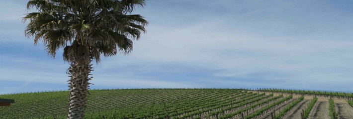 L’Aventure en Californie