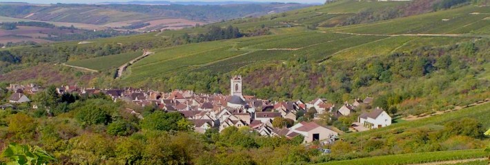 Chablis, la force tranquille
