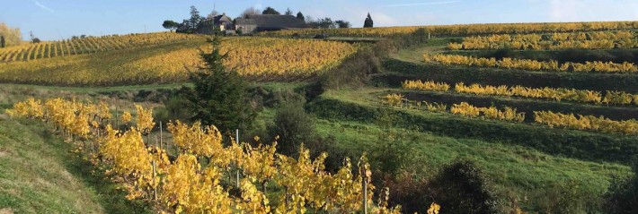 L’histoire d’un gd cru chahuté