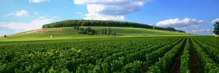 Les Chambres d’agriculture ?