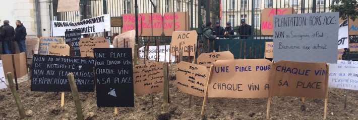 IGP contre AOC, le sauvignon en jeu