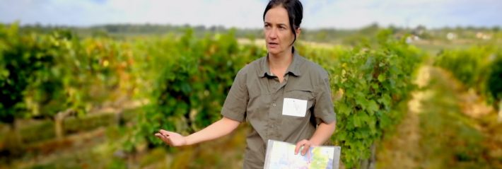Profession : guide oenotouristique