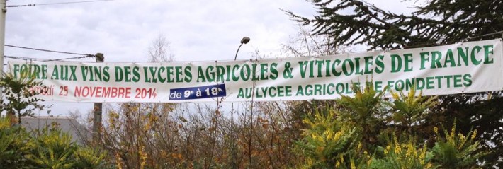 La Foire comme outil pédagogique!