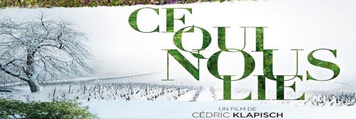 Le vin d’une vigneronne