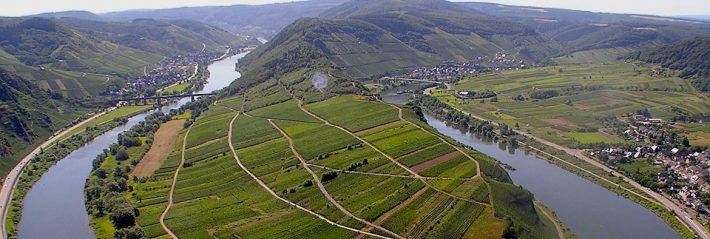 Cap à l’Est#1 : la Moselle viticole