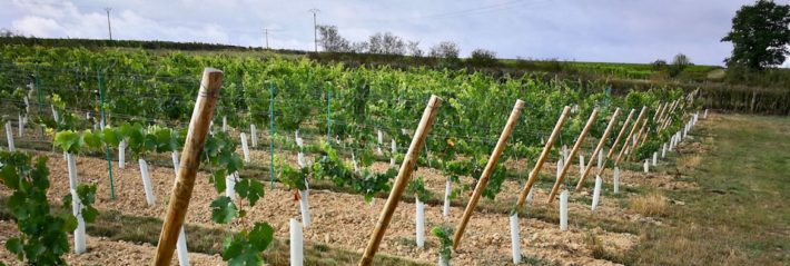 le prix des vignes édition 2018