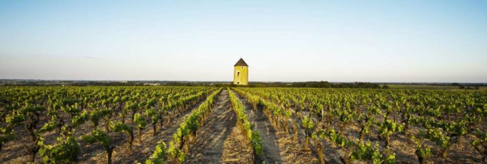des rouges en pays nantais ?