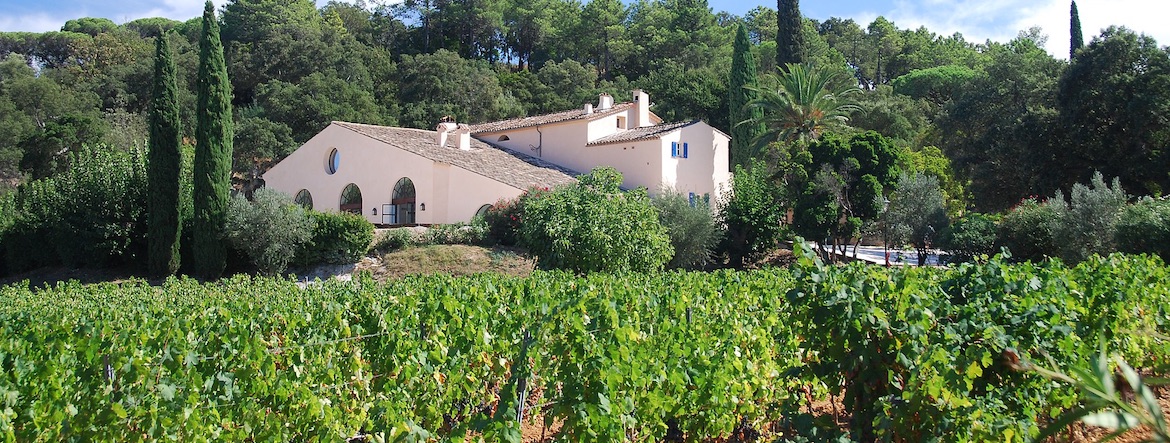 Côtes de Provence : 50 nuances de rosé