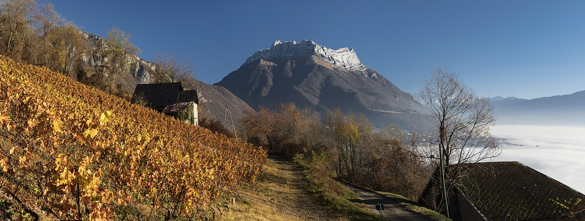 Savoie, l’avenir des vins de montagne !