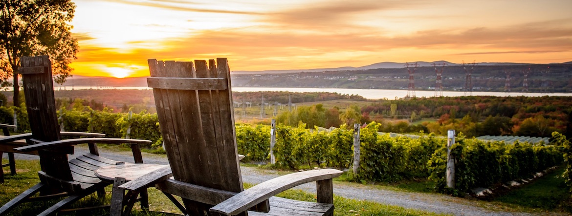 L’île d’Orléans, la belle vitrine du vignoble québécois