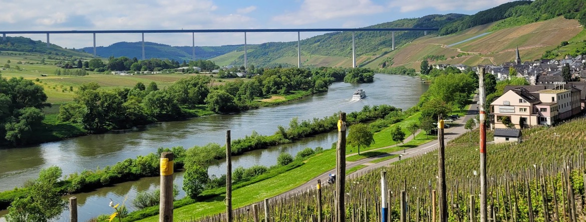 L’œnotourisme : pour les vignerons, entre évidence et obligation économique