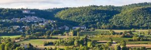 Pierrevert, l’appellation qui vit cachée