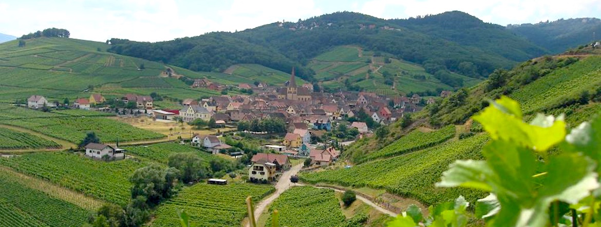 L’Alsace pour tester en bouche la géologie