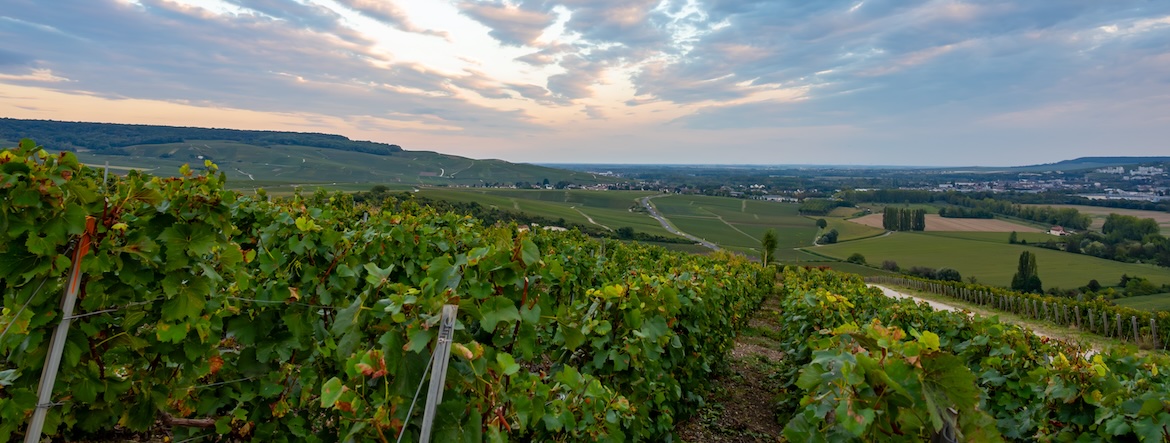Vers un champagne bashing