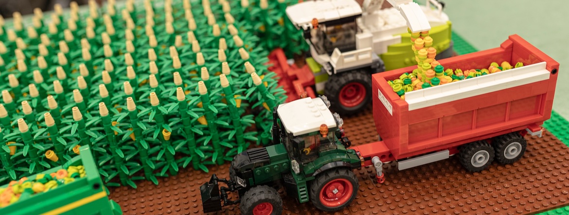 Droits de douane : pour soutenir leur agriculture, quels sont les pays les mieux placés ?