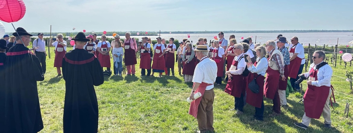 Les Dupond et Dupont de la vigne