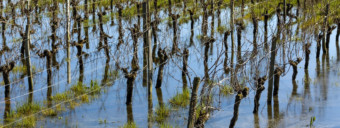 Protéger l’agriculture française face aux risques climatiques