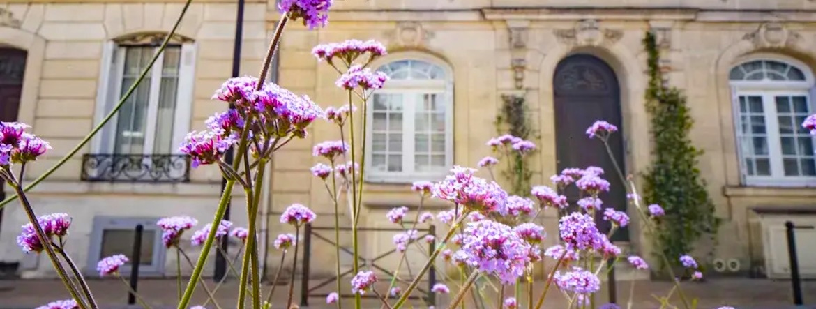 les 100 fleurs de Bordeaux