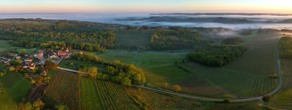 Le prix des vignes 2025
