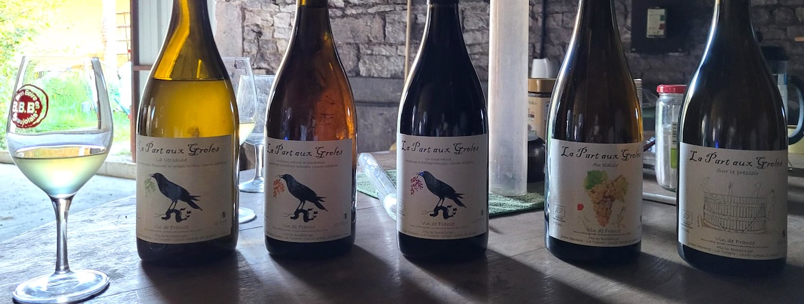 Fleur de moutarde et vins d’auteur