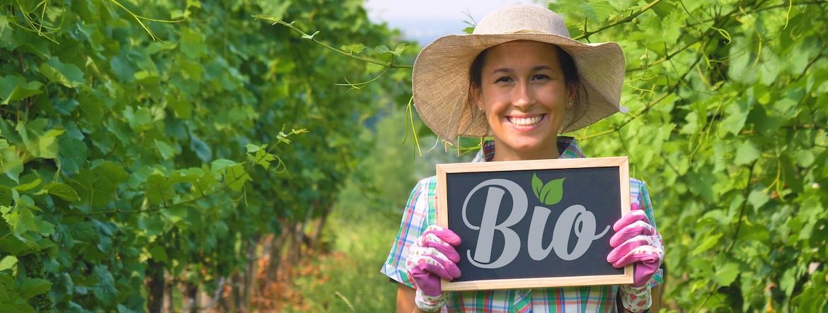 Labels « bio » : pourquoi ne se valent-ils pas d’un pays à l’autre