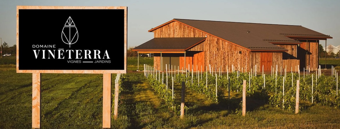 Vinéterra : un domaine familial fièrement québécois
