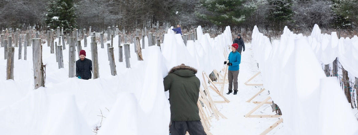 Québec : l&rsquo;effervescent domaine Bergeville