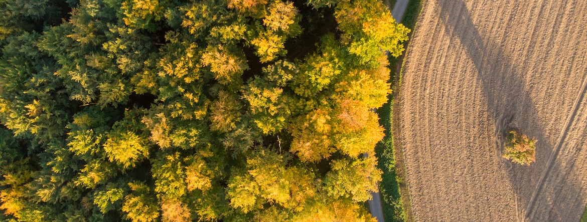 Pourquoi le dilemme agriculture-biodiversité est dépassé