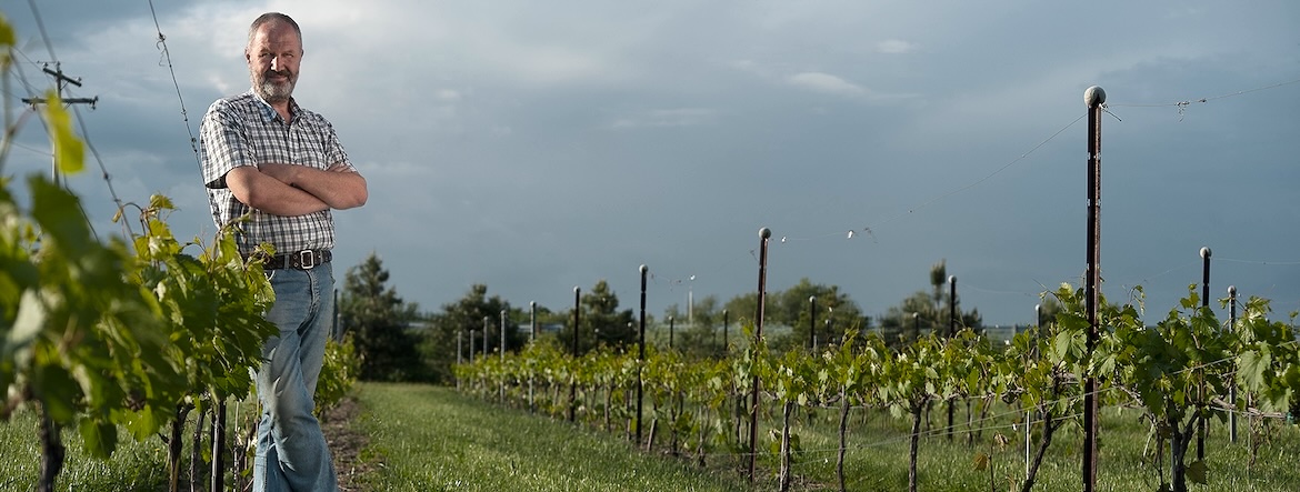 La saga d&rsquo;un vigneron français devenu québécois
